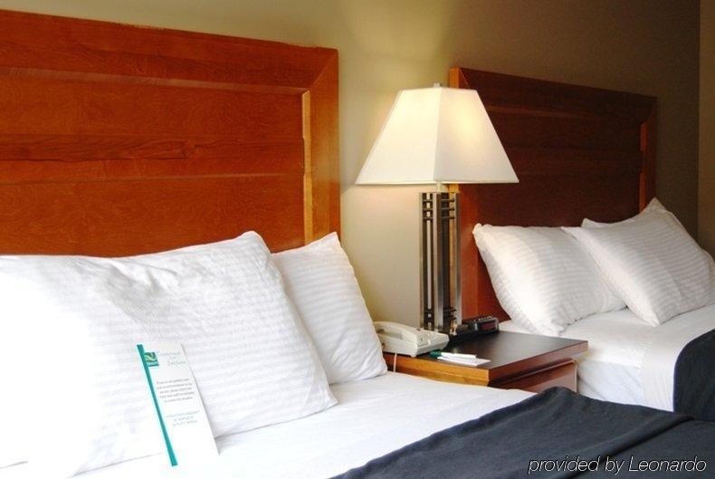 Quality Inn West Edmonton Rom bilde